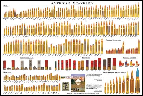 What Has More Energy? A 3 ½" 12 Gauge Buckshot Load or a Throat Punch ...