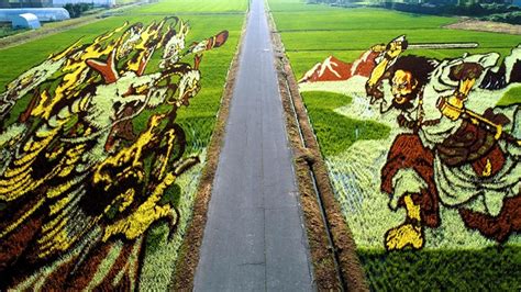 Japanese Village Grows Epic Rice Paddy Art to Boost Tourism