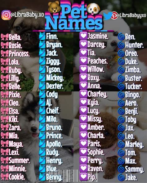 Pet Names🐶. | Cute pet names, Cute animal names, Pet names for boyfriend