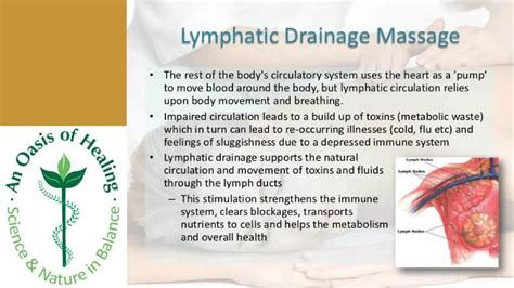 Lymphatic Drainage Massage Benefits - An Oasis of Healing