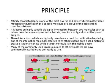 Affinity chromatography ppt