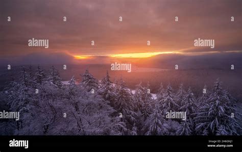 A magical winter sunrise in the Black Forest Stock Photo - Alamy