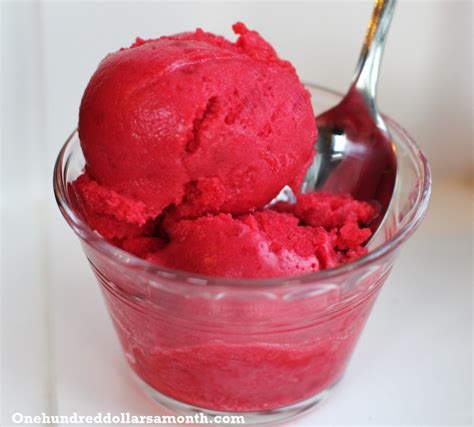 Recipe: How to Make Raspberry Sorbet - One Hundred Dollars a Month