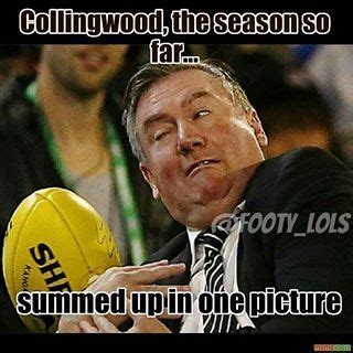 Collingwood meme | Sports memes, Football memes, Australian football