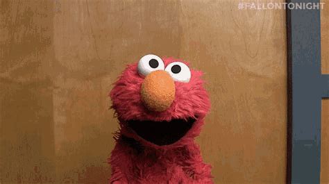 Sesame Street Elmo GIF - SesameStreet Elmo Wut - Discover & Share GIFs