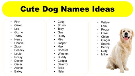 List of Cute Dog Names for Your Adorable Pet - GrammarVocab