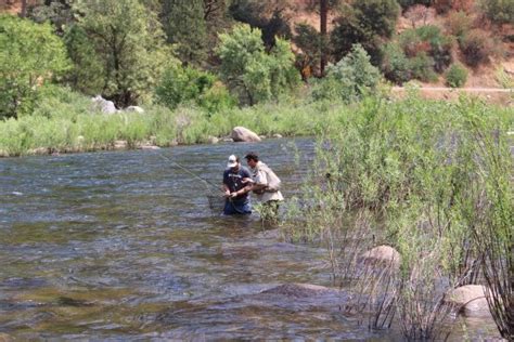 Yosemite Sierra Fly Fishing (Yosemite National Park) - 2021 All You ...