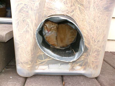 Outdoor Feral Cat House Diy