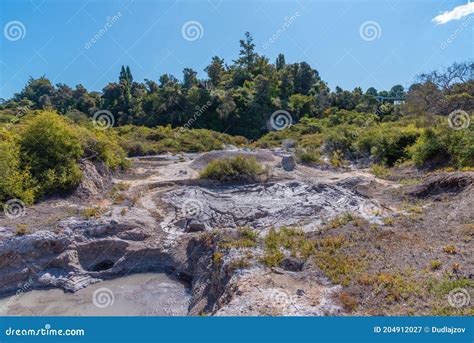 Mud Pools at Te Puia at New Zealand Stock Image - Image of puia, island ...