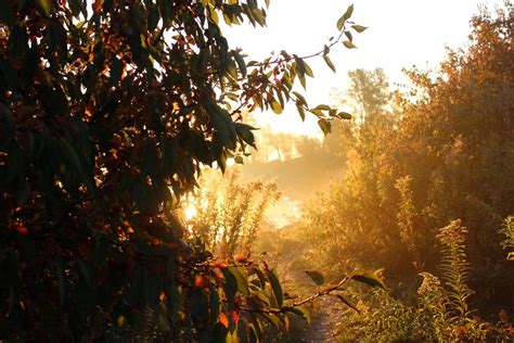 Foggy Sunrise | Smithsonian Photo Contest | Smithsonian Magazine