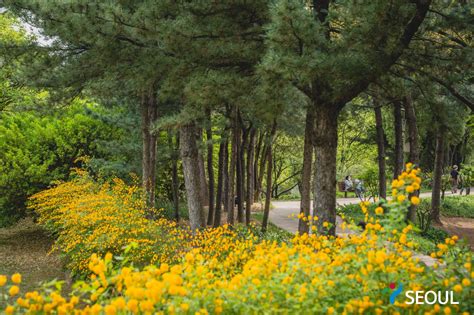 Yongsan Family Park - Seoul