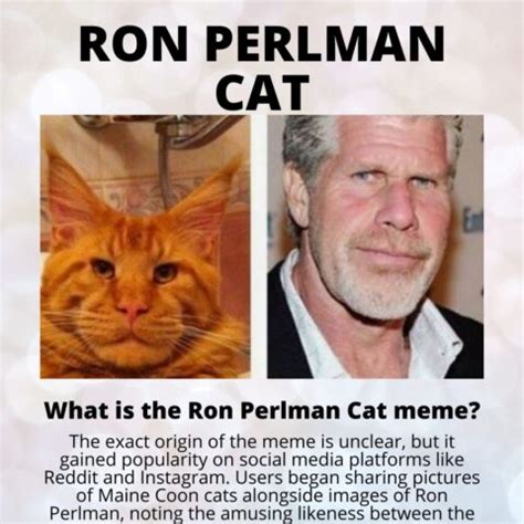 Ron Perlman Cat Breed & Meme