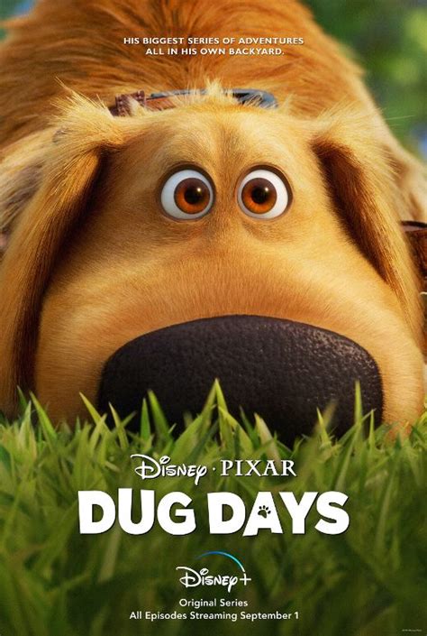 'Dug Days' Shorts Trailer Released - Disney Plus Informer