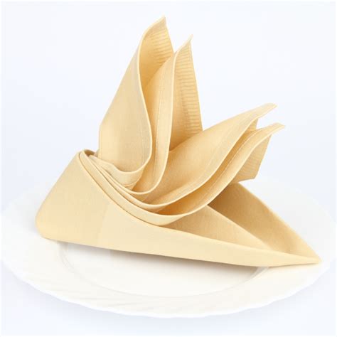 Spruce Up Your Dinner Table with Impressive Napkin Folding – Republic ...