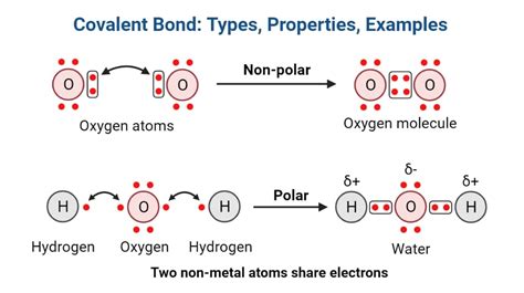 Covalent Bond: Meaning, Types, Properties, Examples - PhD Nest