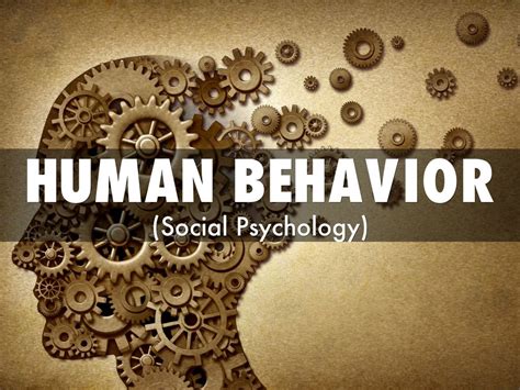 Psychologists 7 Points About Human Behavior- Charismatic Planet