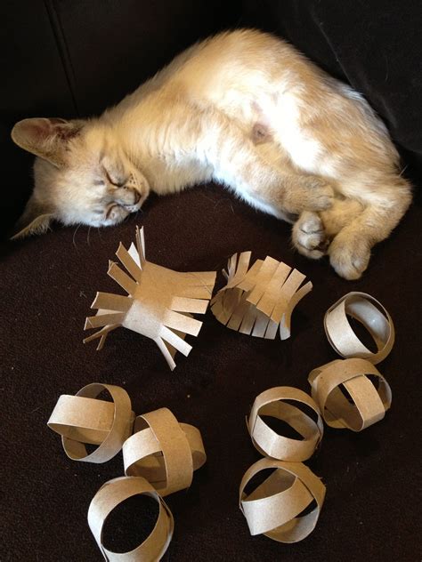 Cat toys made from toilet paper rolls. | Homemade cat toys, Cat diy ...