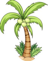 Coconut Tree Drawing