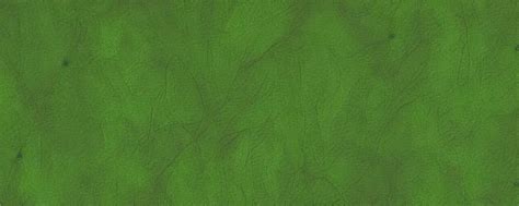 seamless grass texture, Fortnite style | Stable Diffusion | OpenArt