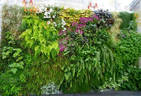 Best Plants For Vertical Garden | Vertical Garden Plants | Balcony ...