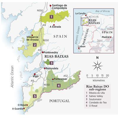 Rías Baixas grows up - Decanter | Wine map, Wine education, Wine ...