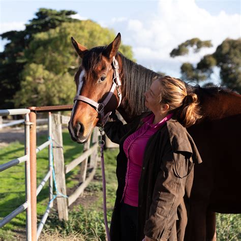 About Us Today - Equine Assisted Therapy sessions in Melbourne.