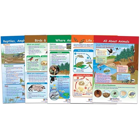 All About Animals Bulletin Board Chart Set – Set of 5 - Walmart.com ...