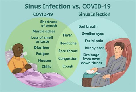 Sinus Infection vs. Cold the Differences and Similarities