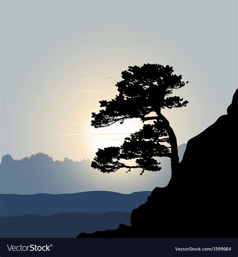 Mountain Tree Silhouette