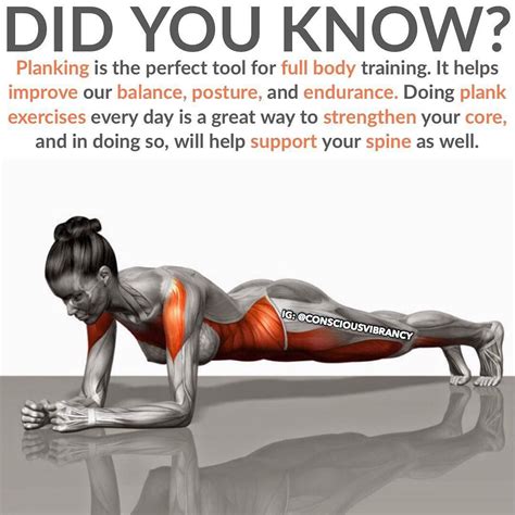 Improve core definition and performance:Planks are a perfect exercise ...