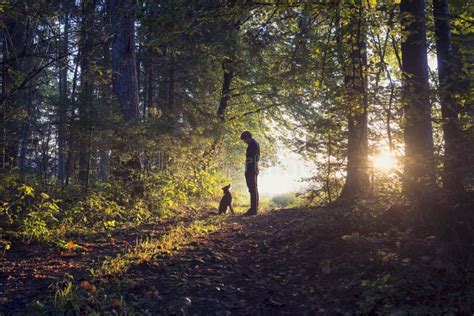 2,086 Black Man Walking Dog Wpring Stock Photos - Free & Royalty-Free ...