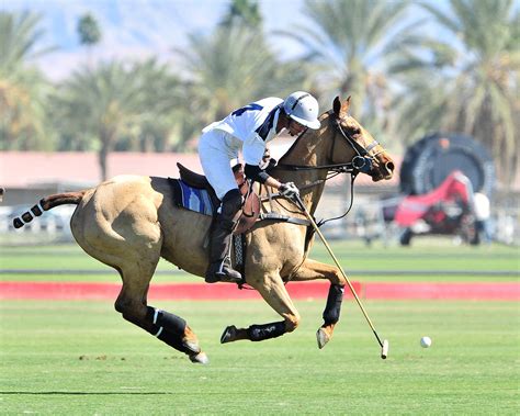 The heart of Polo in the California Desert: Eldorado Polo Club