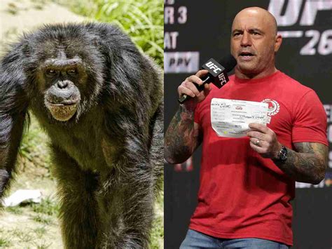 Joe Rogan narrates wild story of chimpanzee attack on an old man