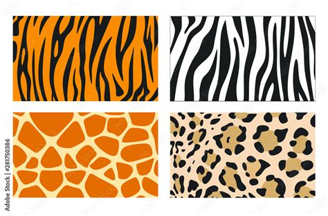 Zebra, giraffe and leopard patterns. Vector tiger stripes and jaguar ...