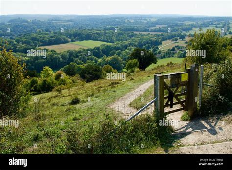 View of the Surrey countryside in the UK Stock Photo - Alamy