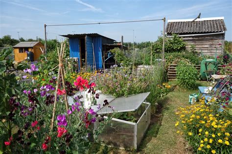 AMAZING ALLOTMENTS, AMAZING SPACES - Amazing Accrington