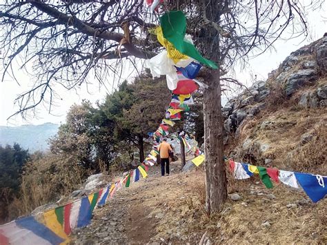 George Everest Benog Hill Day Trek - Mussoorie