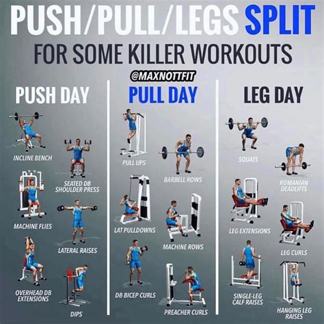 Push/Pull/Legs Split Workout Routine