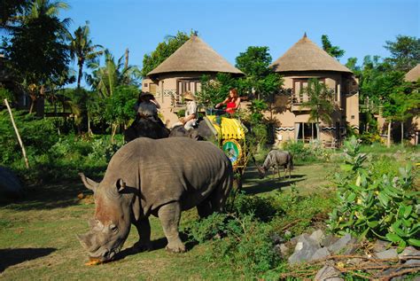 Elephant Back Safari Package | Bali Safari Park Bali Safari Marine Park