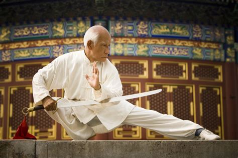 Shaolin Kung Fu Styles | Hot Sex Picture