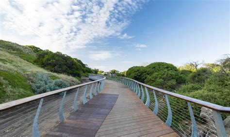 Phillip Island Nature Parks Guided Ranger Tour