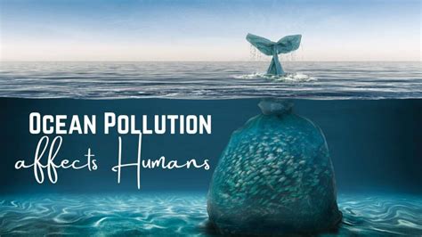 Maritime infographic: How Ocean Pollution affects Humans | MaritimeCyprus