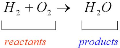 /bce - VECTOR keep an ION this website!!!