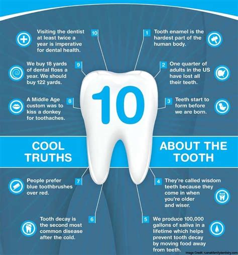 4 Important Dental Care Tips For a Lifetime of Healthy Teeth | Dental ...