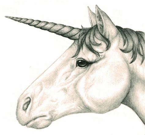 lapiz-dibujo-unicornio-estilo-realista-unicornio-mirada-triste-dibujo ...