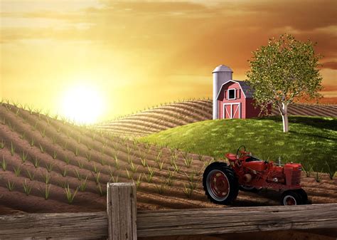 Barn With Corn Field Background