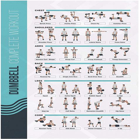 Vive Dumbbell Workout Poster Home Gym Exercise For Upper, Lower, Full ...