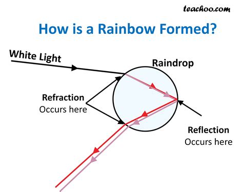 How is Rainbow Formed? - Class 10 Physics - Teachoo - Concepts