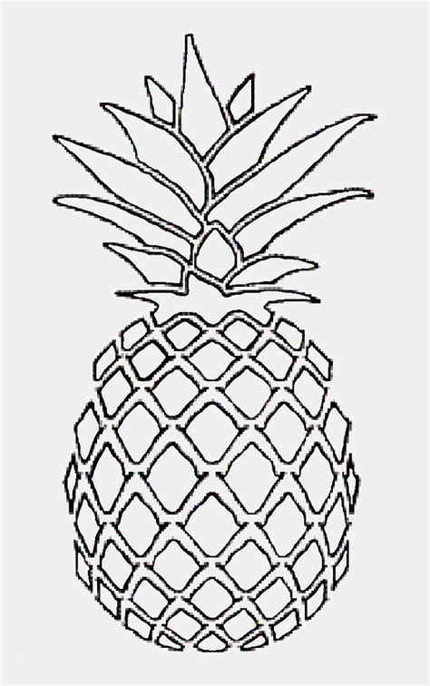 pineapple line drawing - Google Search | Pineapple drawing, Pineapple ...