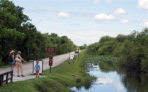 Shark Valley Bike Trail Start- 15 mile bike loop in the Everglades ...